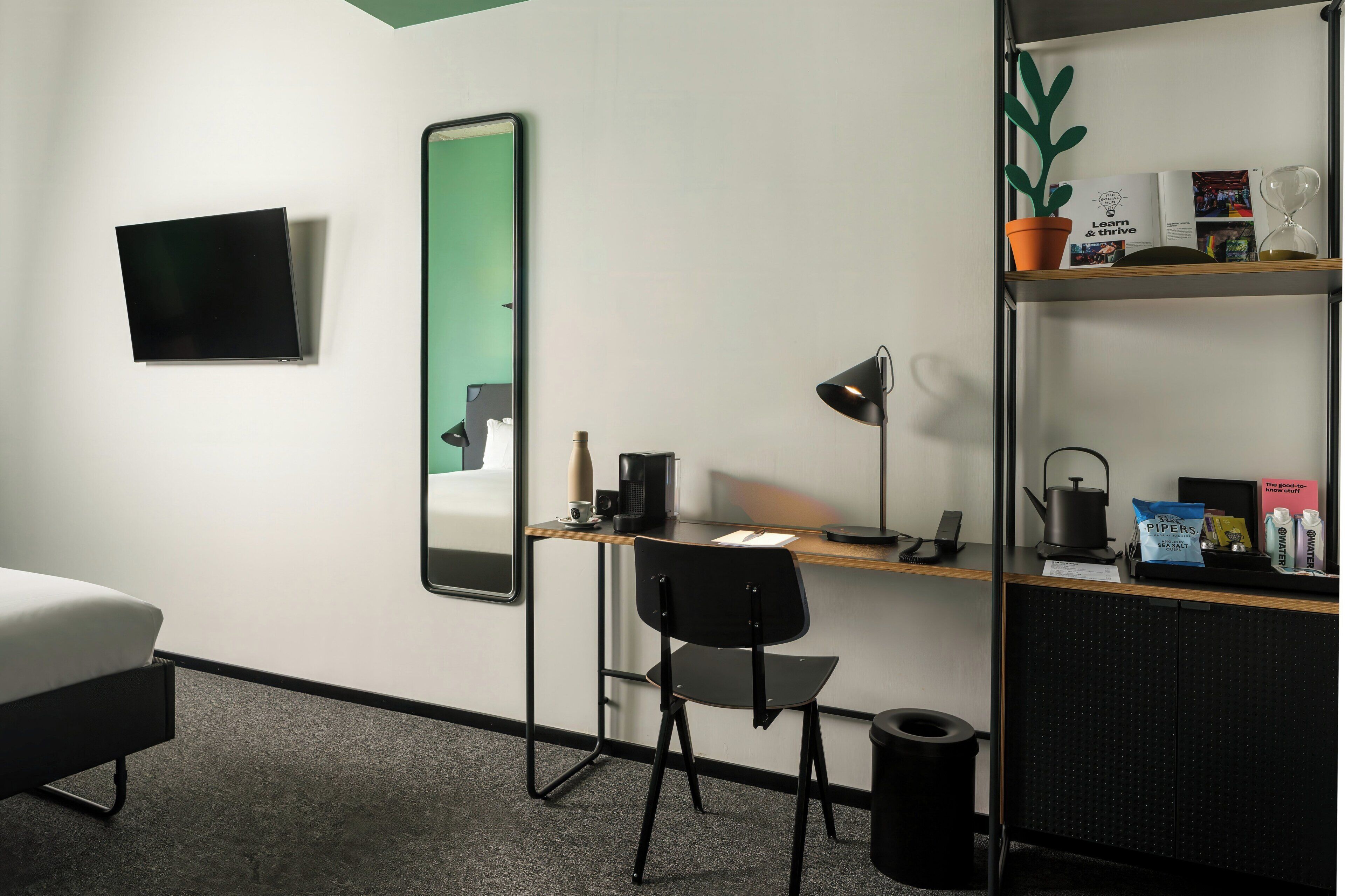 Habitación de hotel con cama, escritorio con silla, espejo, televisor, estante pequeño con una planta y un cesto de basura.