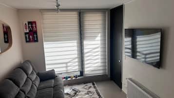 Smart-TV, Bücher