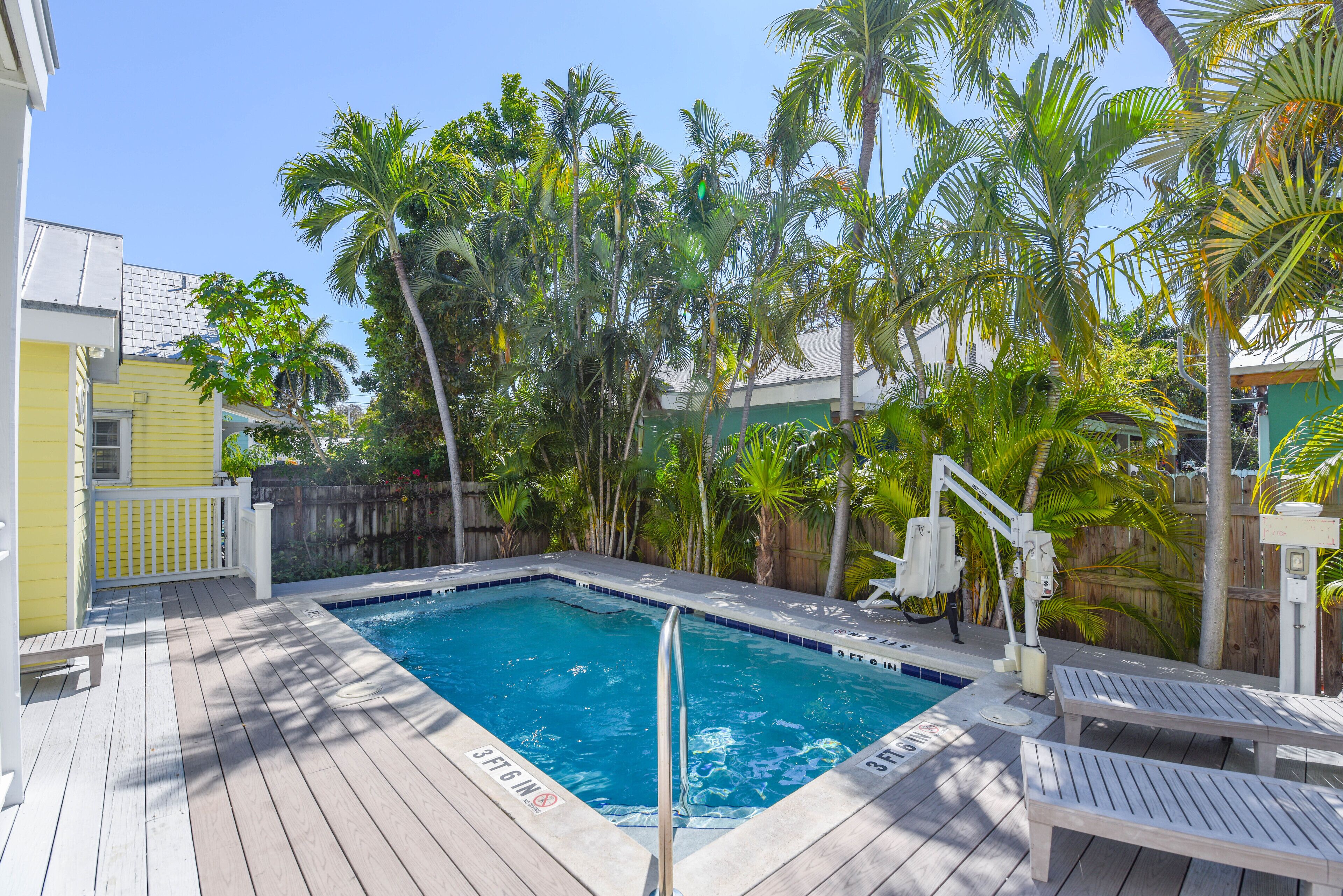A swimming pool with a wooden deck, surrounded by palm trees and a wooden fence.