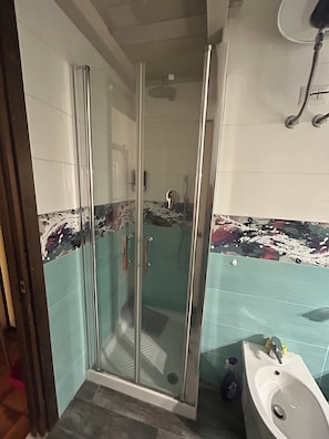 Shower, hair dryer, bidet, towels