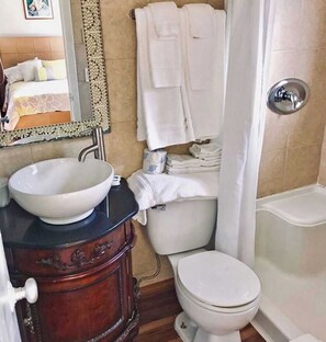 Shower, hair dryer, shampoo