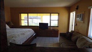 Une chambre à coucher avec un lit, un téléviseur posé sur une commode, un canapé et une fenêtre avec des stores.