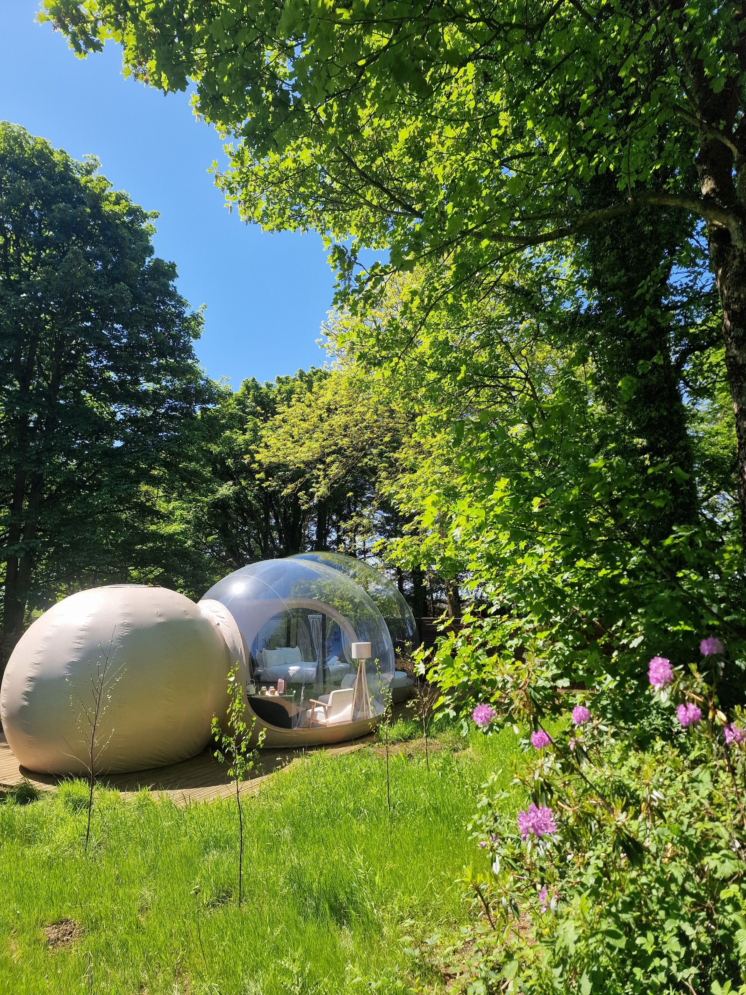 A transparent spherical structure with a bed and seating area, surrounded by lush greenery and trees.
