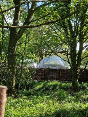 Luxury Cabin, Garden View | Teres/patio