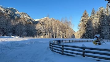 Lumi- ja hiihtourheilulajit