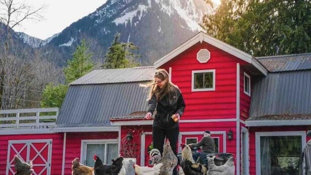 A red barn with a white door and a metal roof, surrounded by chickens and a person feeding them.