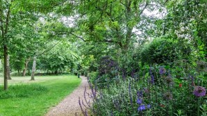 Un sendero serpentea por un jardín exuberante, lleno de plantas y árboles.