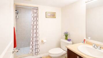 Sèche-cheveux, serviettes fournies, savon, papier toilette