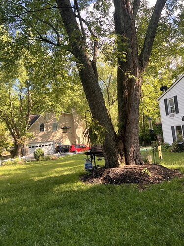 Stylish 1BR Near Tysons, Wolf Trap & Metro Access