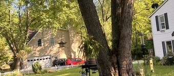 Stylish 1BR Near Tysons, Wolf Trap & Metro Access