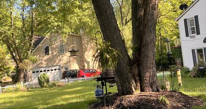 Stylish 1BR Near Tysons, Wolf Trap & Metro Access