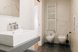 Shower, hair dryer, bidet, towels