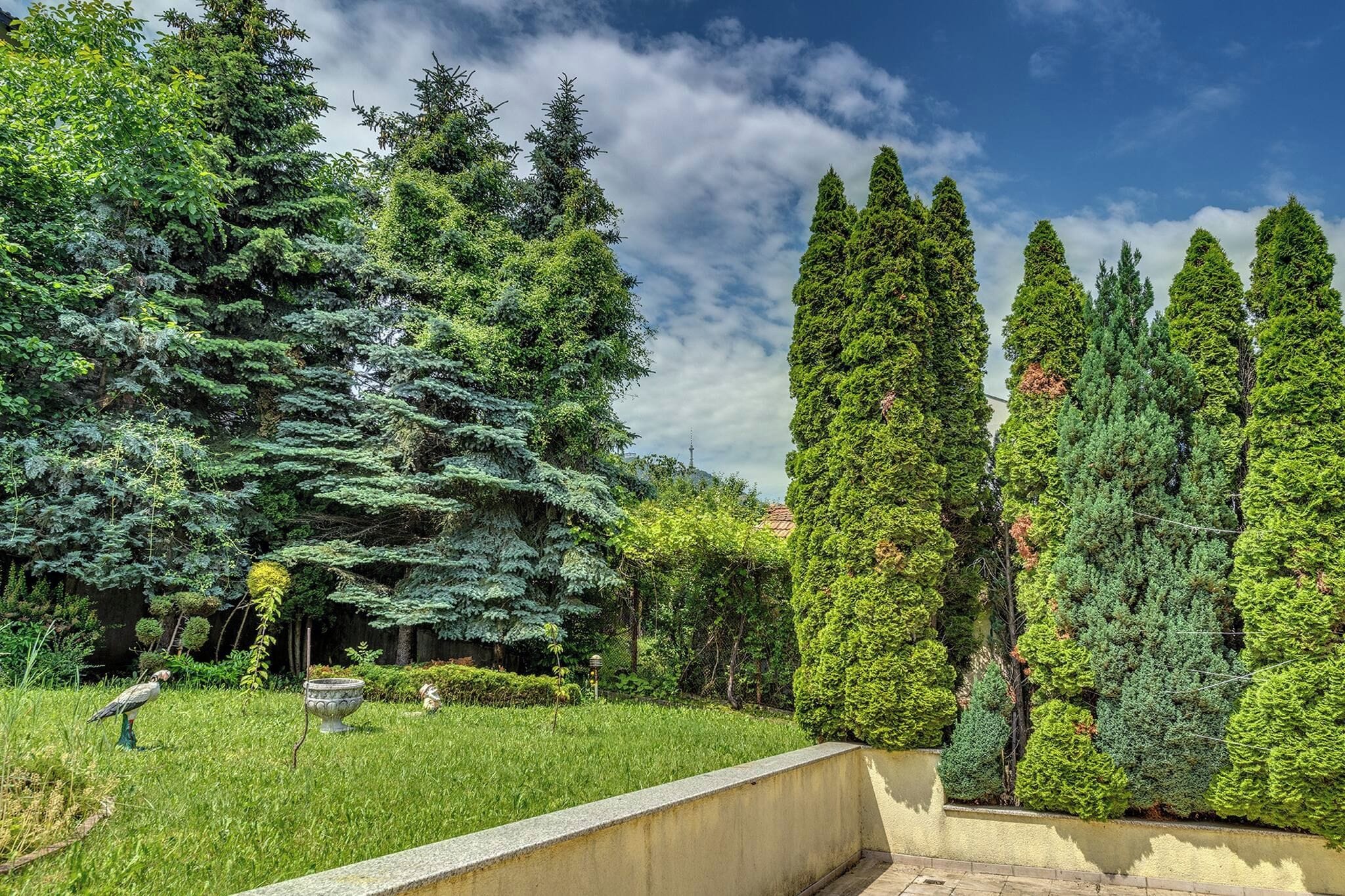 A garden with tall trees and a birdbath.
