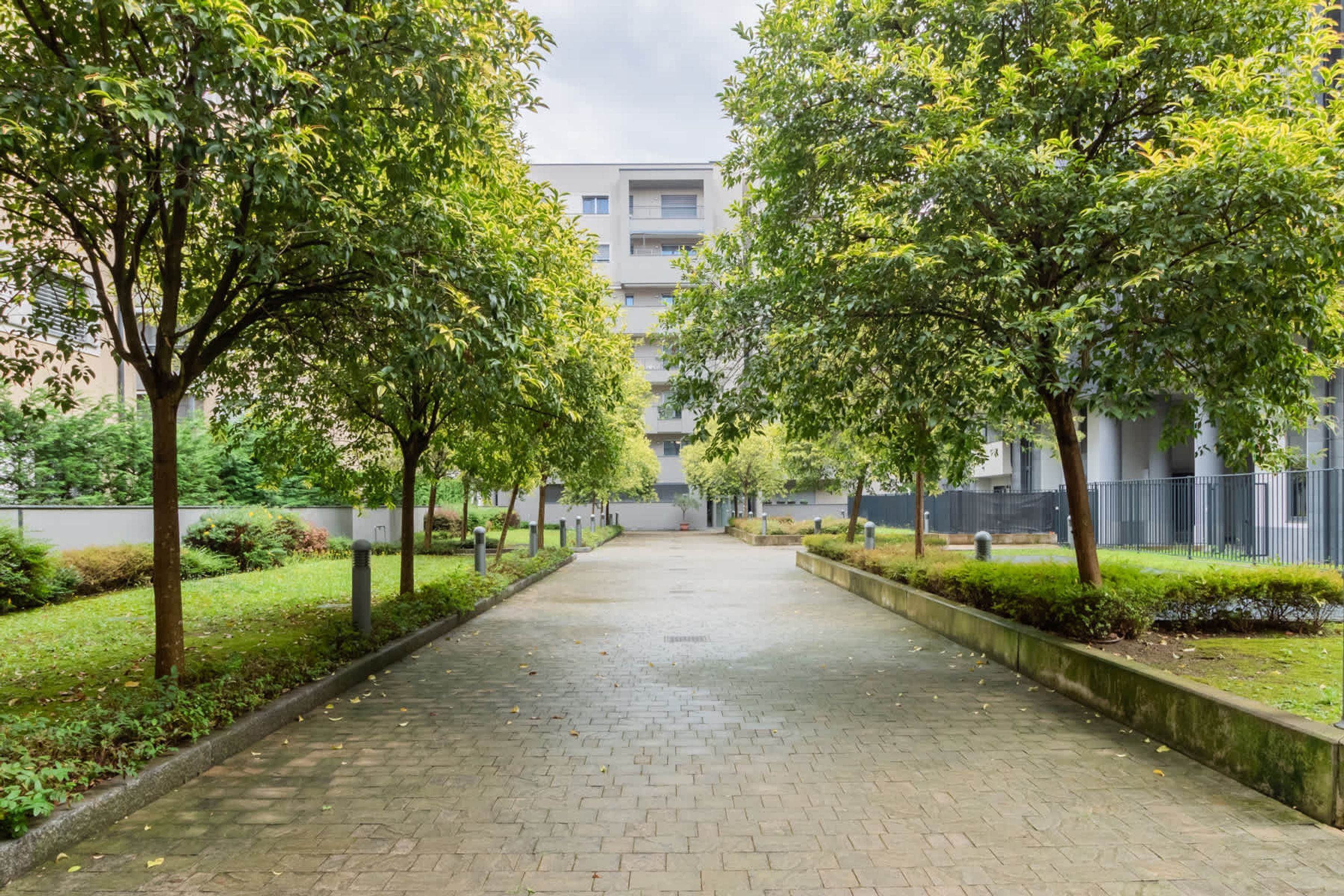 Apartment | 1 bedroom, Internet