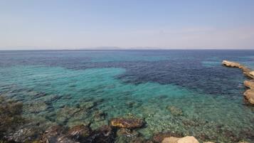 Apartment, Smoking | 1 bedroom, desk