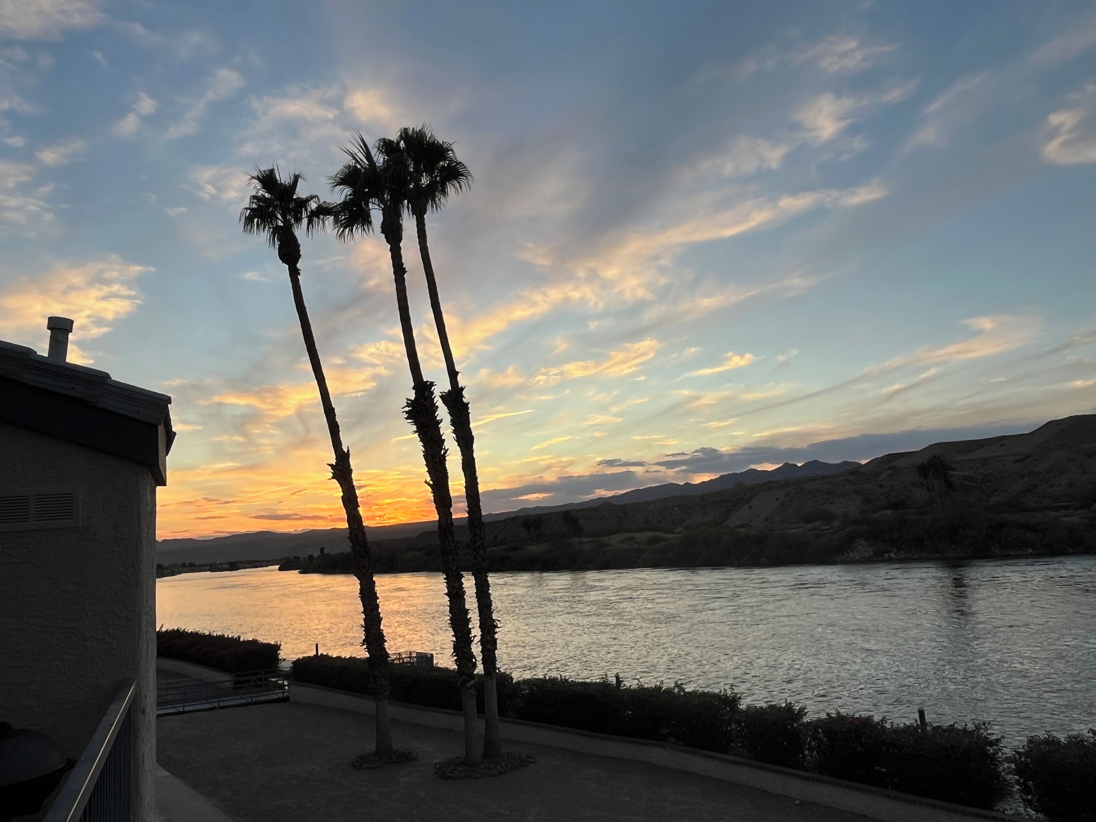 A sunset view with palm trees and a river.