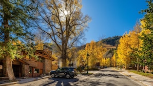A modern building with a stone facade and large windows, situated on a tree-lined street. - Fasching Haus 03 (Aspen)