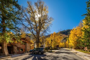 Parking - Fasching Haus 03 (Aspen)
