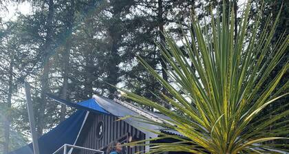 Luxury Lodge Palms 3 with hot tub - Accessible Access