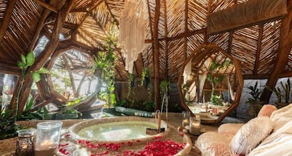 6 Day- Divine Embodi Retreat Space- Power Detox, Mental Reset