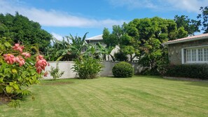 Property grounds - Hallelujah House - 3BR Retreat w/ Chef, Beach, & Island Experiences (St. Ann Parish)