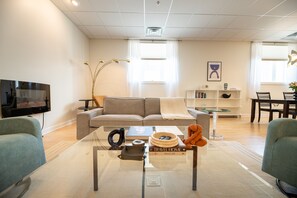 TV, fireplace, video games, books