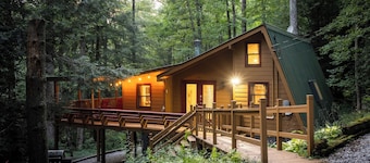 Dog-friendly Cabin in Appalachian Mountains! -near AT, firepit, with hot tub!