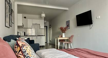 Cozy studio with WiFi and AC in center of Almaty
