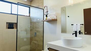 Shower, hair dryer, towels, soap