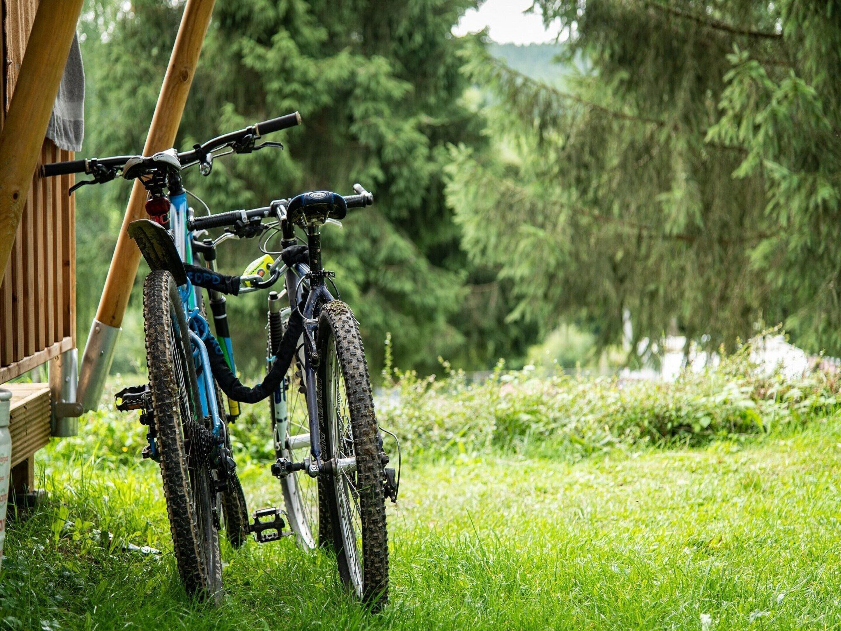 A mountain bike leaning against a wooden structure in a lush, green outdoor setting.