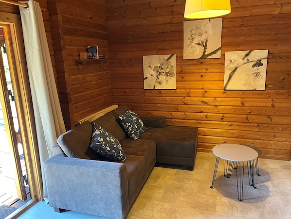Televisión, chimenea y libros 