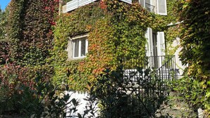 A building with a white facade partially covered by green and red ivy.
