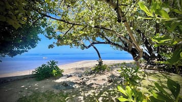 Plage à proximité, chaises longues, serviettes de plage