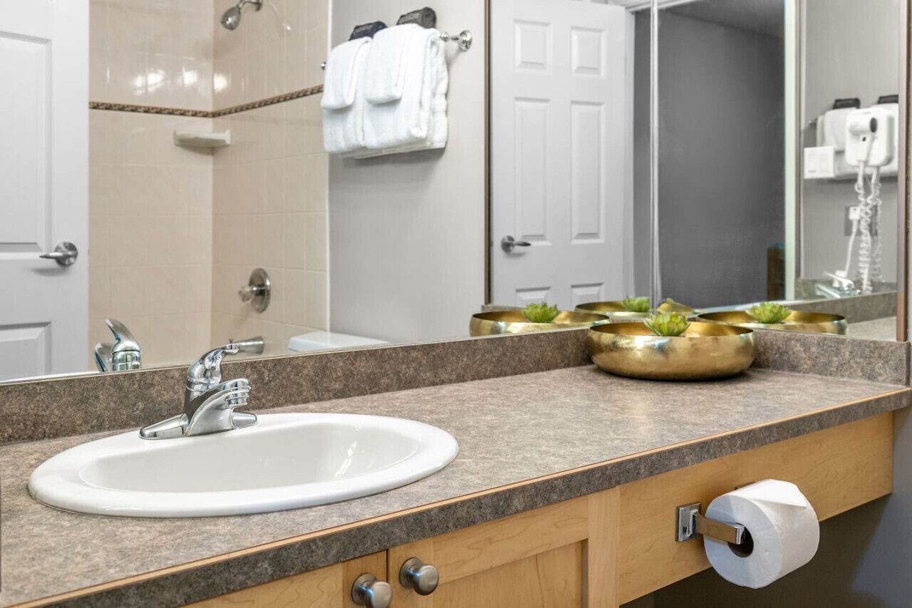 A bathroom with a white sink, a mirror, and a toilet paper holder.