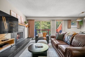 Smart TV, fireplace, books