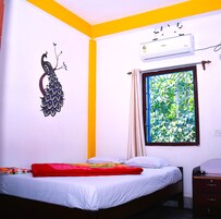 标准房 | 免费 WiFi