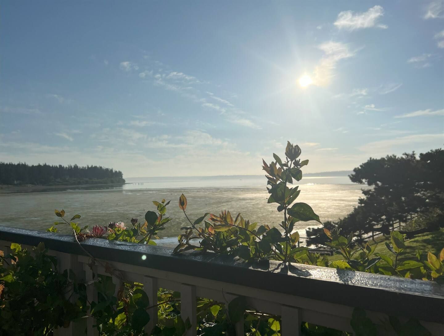 Sunrise and coffee in the morning? - Yes, please!