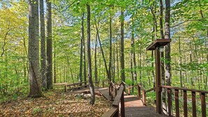A wooden boardwalk in a forest with tall trees and a clear sky. - Perfect for couples! Modern, Private + Hot Tub, Fire pit, Fireplace & King Bed (Maggie Valley)