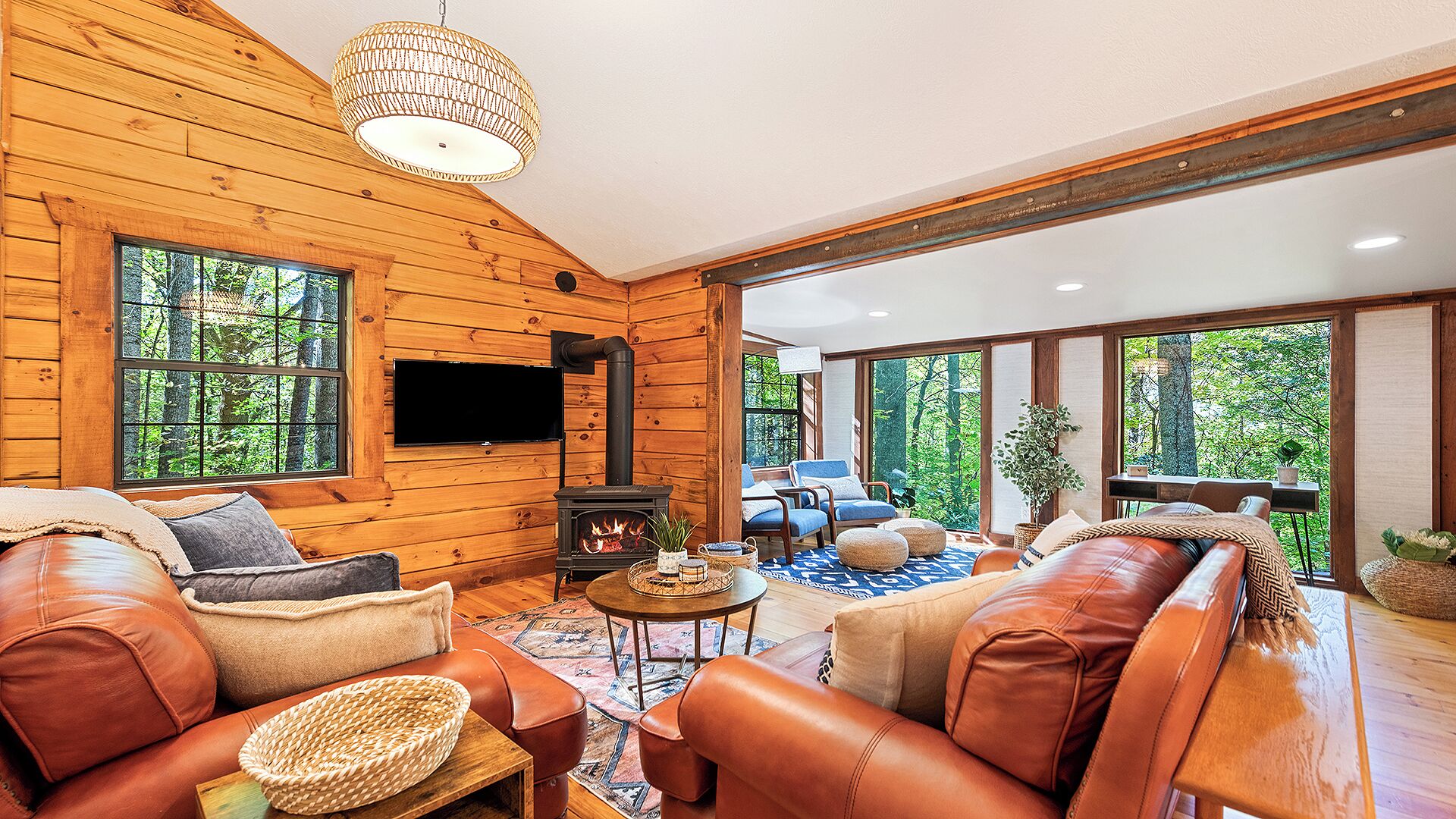 Smart TV, chimenea y libros 