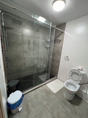 Hair dryer, bidet, towels, soap