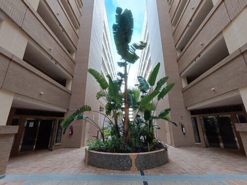Exotic & Modern Beachside Paradise in Oropesa!