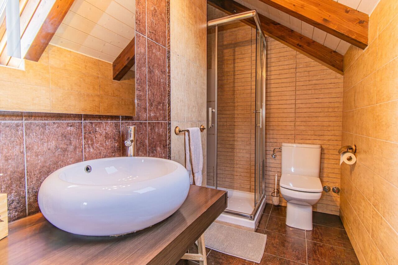 A bathroom with a large oval sink, a glass shower enclosure, and a toilet.
