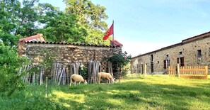 Miscellaneous - Spacious 190 m² Holiday Home, Billiards, Memorable Gatherings near Canal du Midi (lagarde)