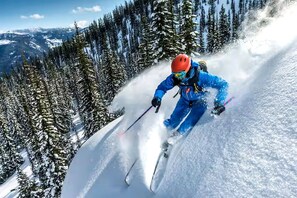 A person skiing down a snowy slope with trees in the background.