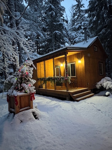 Cozy private 1 Bedroom & Loft cabin in the forest. Rustic with Modern features.