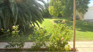 A backyard with a lawn, a palm tree, and a rose bush. - Just Beachy, Port Victoria (Port Victoria)