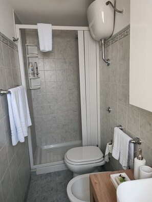 Shower, hair dryer, bidet, towels