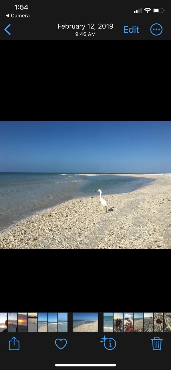 Strand