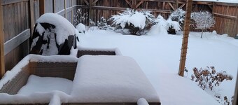 Cozy new unit near restaurants, bars, stores, bus stations, and hospital.