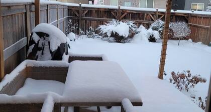 Cozy new unit near restaurants, bars, stores, bus stations, and hospital.